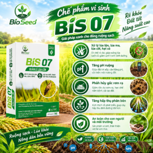 BIS 07 - Quản lý lúa lộn