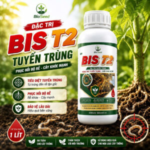 Bis T2 - Phòng trị tuyến trùng