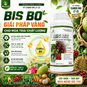BIS BO -Tăng tỷ lệ đậu trái, chống rụng trái non