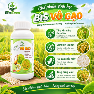 BIS VÔ GẠO