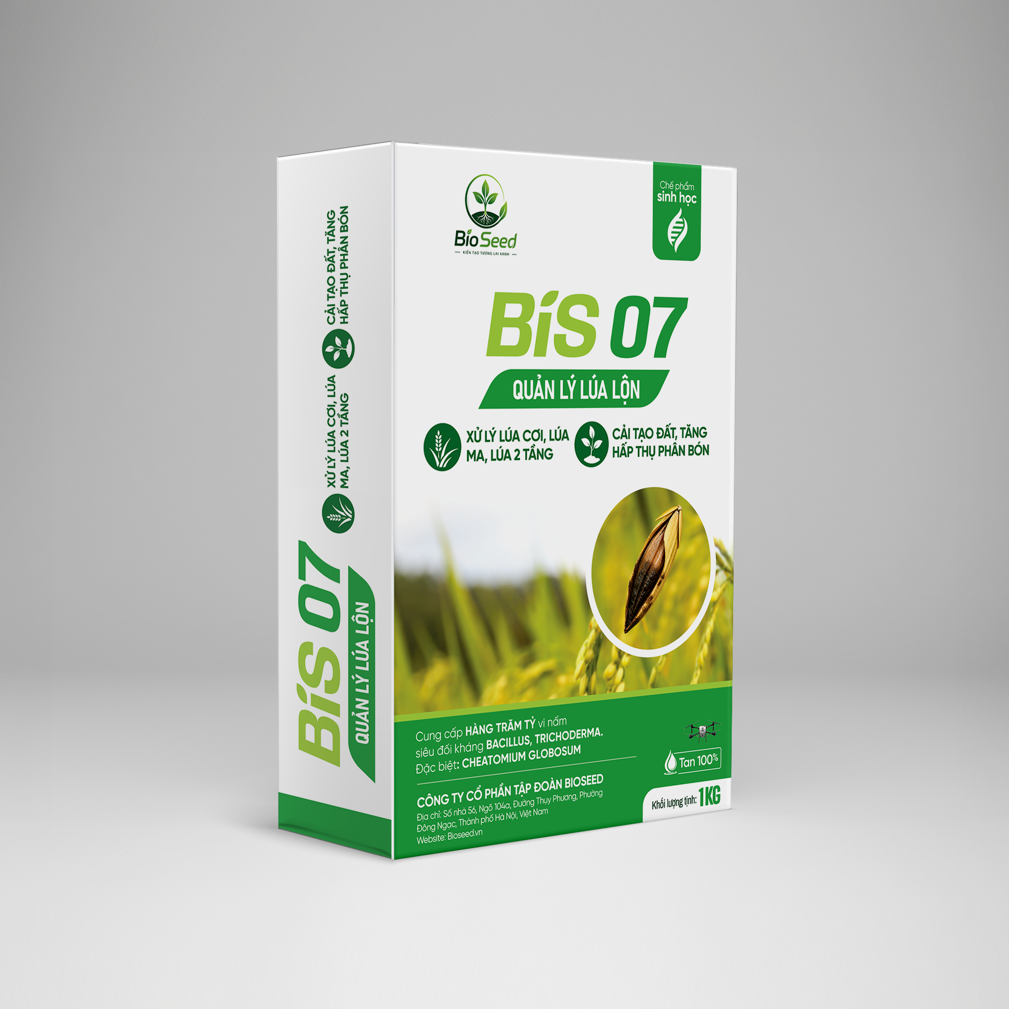 BIS 07 MOCKUP (1)