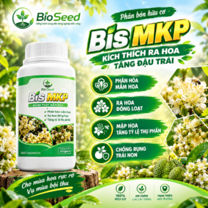 BIS MKP - Phân hóa mầm hoa