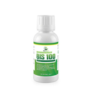 BIS 100