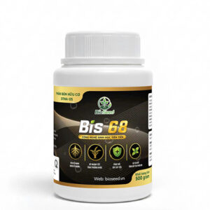 BIS 68