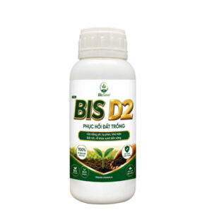 BIS D2