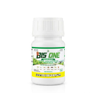 BIS ONE