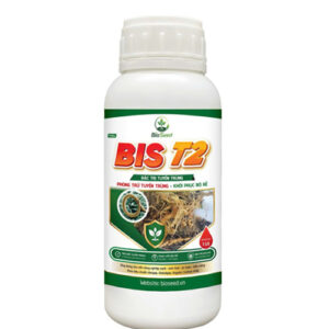 BIS T2